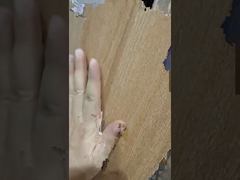 การแนะนำกระเบื้องเซรามิกซีรีส์ลายไม้ขนาด 200x1200 มม.