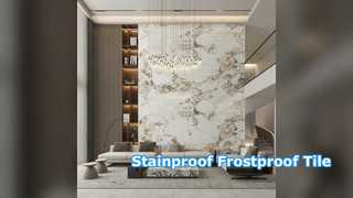 กระเบื้องพอร์ซเลนสมัยใหม่ Stainproof Frostproof Flooring