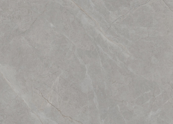 Eli Grey Matte Marble Look Porcelain ตะเบียนพื้นภายในใน 750*1500mm 4 แบบ
