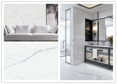 ความต้านทานต่อการขัดถูหินอ่อนดูกระเบื้อง Porcelain Forliving Room / 600x300 กระเบื้องปูพื้นกระเบื้องพื้นห้องครัวเซรามิค